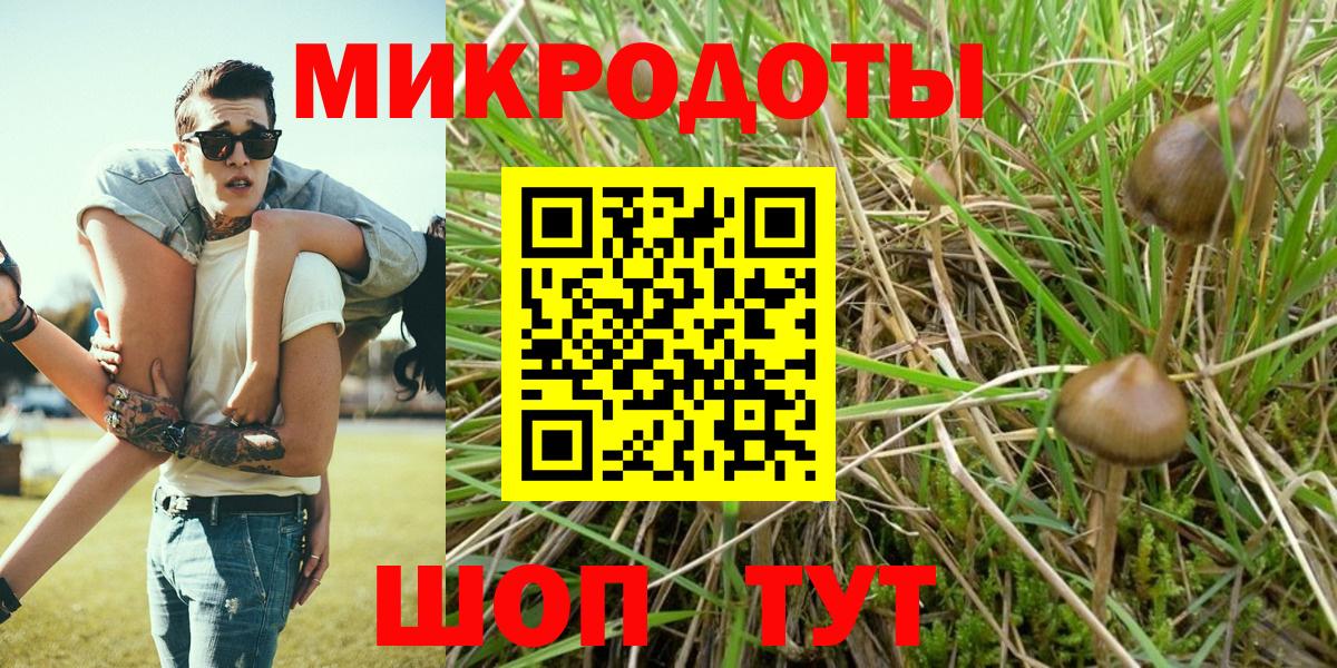 Псилоцибиновые грибы мухоморы Отрадное