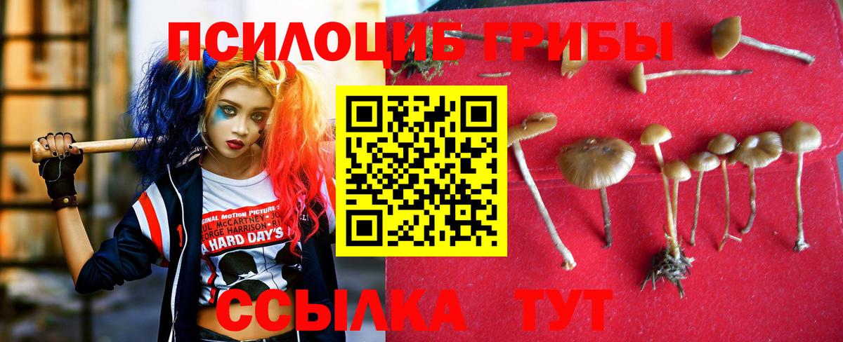 Отрадное  Галлюциногенные грибы мухоморы  Вход с VPN 